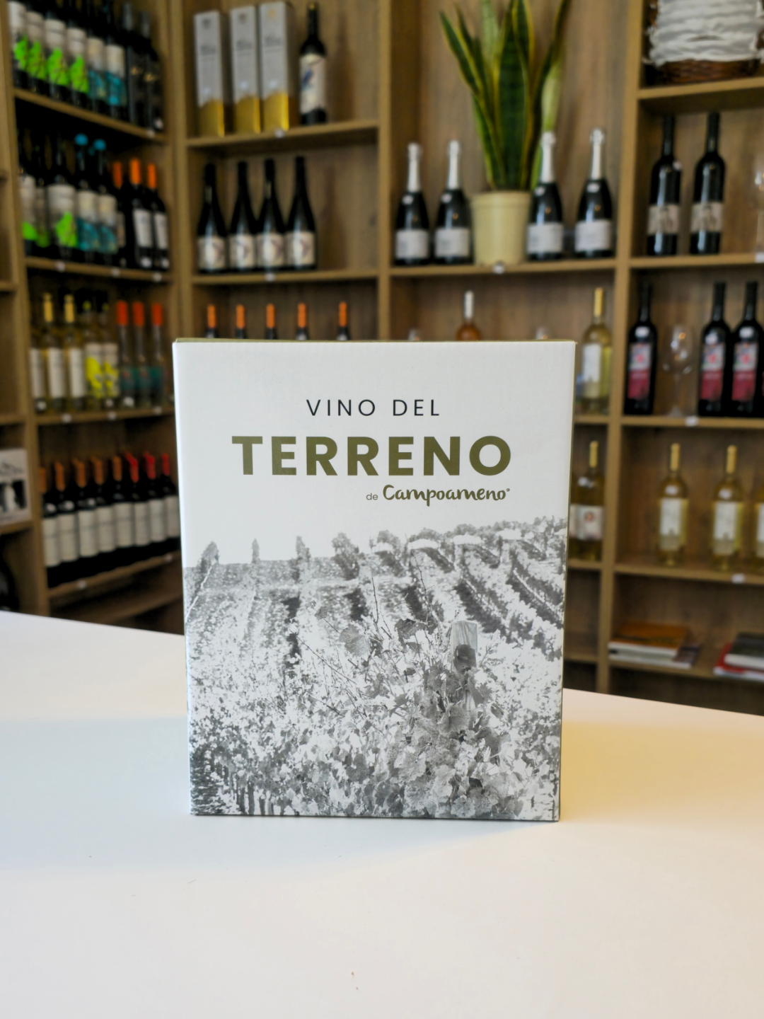 Campoameno Vino del Terreno