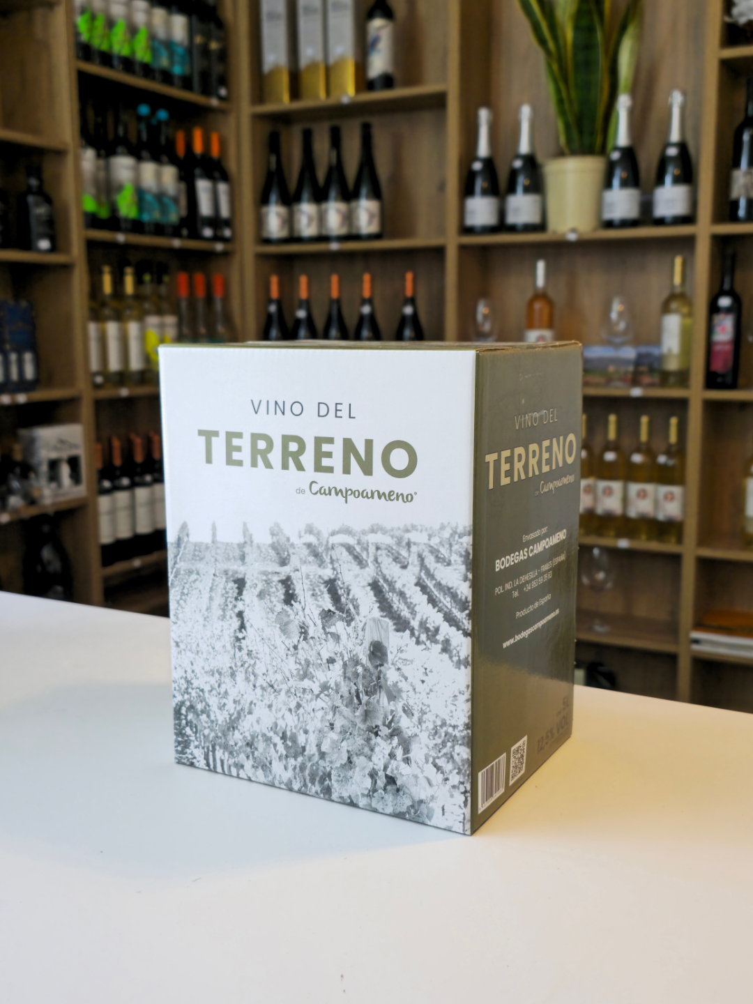Campoameno Vino del Terreno - Imagen 2
